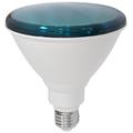 LED-Lampe 18 W Par 38 grün IP65