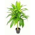 Leaf Dracaena Kunstpflanze, 105 cm