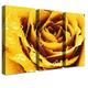 LANA KK Luxus Ausführung – Leinwandbild"Liebe Gold Zoll mit Blumen auf 4 cm Echtholz-Keilrahmen, Gelb, 150 x 100 x 4 cm, dreiteilig