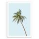 Coconut Tree Poster, 60 x 90 cm