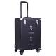 Extra Lager Luxury Leather Hairdressing Make up Beauty Trolley Case -Rolling Trolley Makeup Beauty Train Carry Case Cosmetics Art Cosmetic Box (Black)