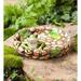 Wind & Weather Happy Frog Tabletop Bird Bath Resin in Green | 4.5 H x 10 W x 10.5 D in | Wayfair 84G3427