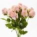 Ophelia & Co. Artificial Branch Roses Bush Plastic/Fabric in Pink | 18.25 H x 10 W x 10 D in | Wayfair CEDA78DD04074F8DAB5B72C9CDE95424