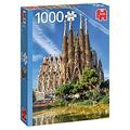 Jumbo Puzzles 18835 Sagrada Familia View, Barcelona-1000 Teile Animals Puzzlespiel, Mehrfarben