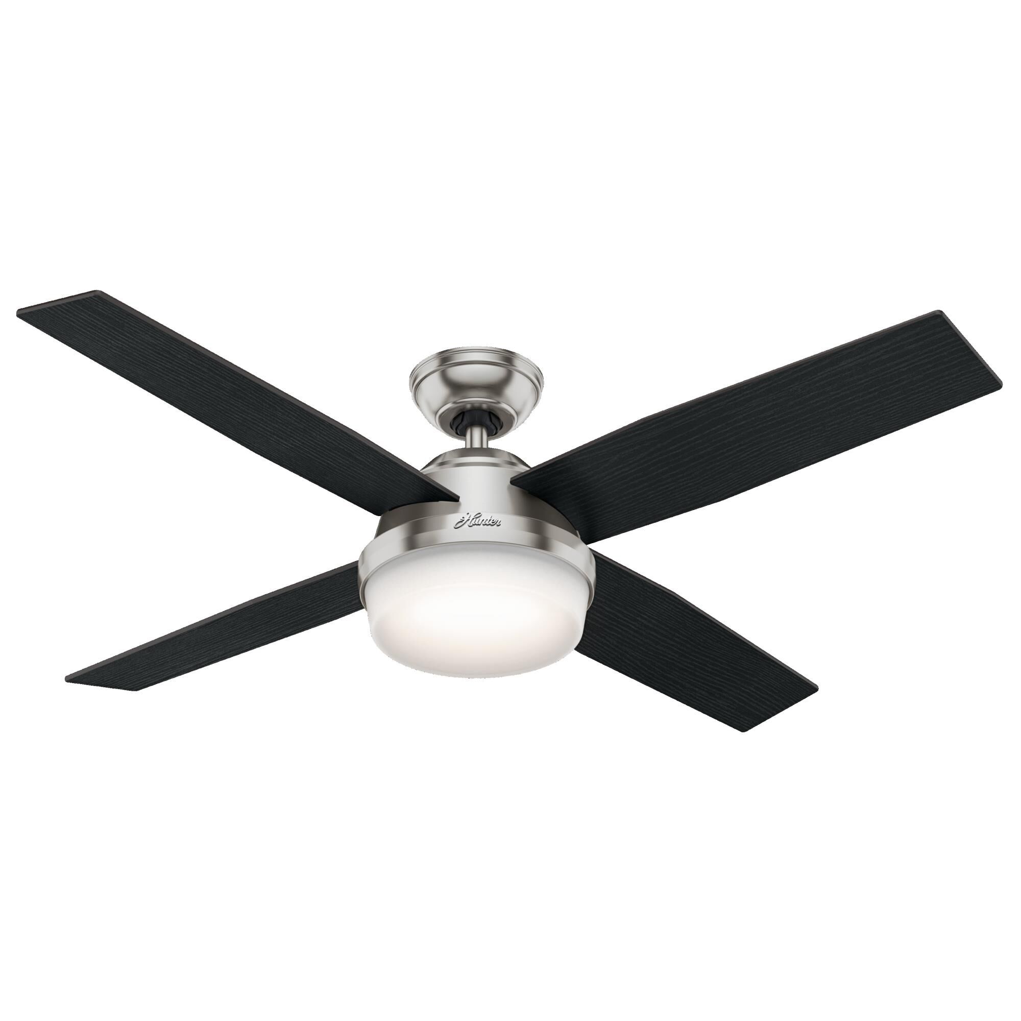 Ceiling Fans 1 - Hunter Fan