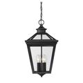 Savoy House Ellijay 21 Inch Tall 4 Light Outdoor Hanging Lantern - 5-145-BK