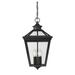 Savoy House Ellijay 21 Inch Tall 4 Light Outdoor Hanging Lantern - 5-145-BK