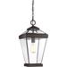 Quoizel Ravine 20 Inch Tall Outdoor Hanging Lantern - RAV1910WT