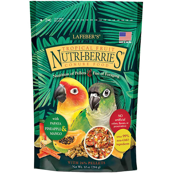 Lafeber's Tropical Fruit Nutri-Berries Dry Food for Conures, 10 oz.