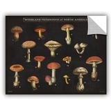 August Grove® Mushroom Chart I Removable Wall Decal Vinyl in White | 36 H x 48 W in | Wayfair 9023F61FBAD84DFE9B7C6728C63EA9D6