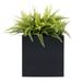 Wrought Studio™ Lorsworth Fiberglass Planter Box Fiberglass in Black | 14 H x 14 W x 14 D in | Wayfair 009253070CB3458BB6E211184E26345A