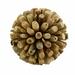 Highland Dunes Natural Wood Sphere Wood in Brown/Gray | 8 H x 8 W x 8 D in | Wayfair D5CBE2394A624424978D9277A3D479FE