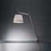 Artemide Michele De Lucchi, Giancarlo Fassina Tolomeo 65 Inch Desk Lamp - TLM2004