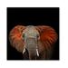 DecorumBY African Elephant - Unframed Graphic Art Plastic/Acrylic in Gray | 46 H x 46 W x 2.5 D in | Wayfair