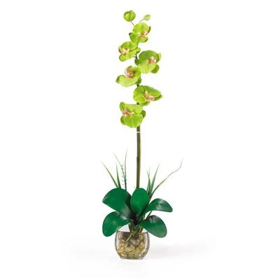 Nearly Natural 1104-GR Single Phalaenopsis Liquid Illusion Silk Flower Arrangement, Green