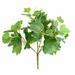 Ophelia & Co. Real Touch 36 Leaves Ivy Bush Plastic | 10 H x 8 W x 8 D in | Wayfair 7536626487A341A7A61AAE5EA67AC361