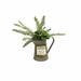 Gracie Oaks Fern Plant in Can Plastic/Metal | 12 H x 9 W x 14 D in | Wayfair 59A571F2E63546508CA25CA3E32F6617