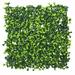 Ophelia & Co. Matt Boxwood Plant Plastic | 10 H x 10 W x 10 D in | Wayfair B6C582AD02D0459ABBAF8506707A75AB