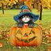 The Holiday Aisle® Black Cat Pumpkin Garden Stake Wood in Black/Blue/Brown | 32 H x 25 W x 2 D in | Wayfair 40A942BC409C4BCC90C1A3471FD0D997