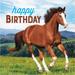 The Party Aisle™ Wild Horse Happy Birthday 6.5" Paper Disposable Napkins in Blue/Brown/Green | Wayfair E26C48A3E40345A6A9F23AE9BBF93A9D