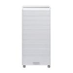Armoire Informatique Orga Blanc - Simmob
