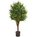 Charlton Home® 4ft. Eucalyptus Artificial Tree UV Resistant (Indoor/Outdoor) Silk/Plastic | 48 H x 20 W x 18 D in | Wayfair