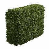 Darby Home Co Artificial Boxwood Hedge Silk/Plastic | 41 H x 30 W x 15 D in | Wayfair 56BD7A49FE1142AE887729FE0BCCF400