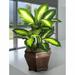 Bay Isle Home™ 20.5" Artificial Golden Dieffenbachia Desk Top Foliage Plant in Planter Silk/Wood/Plastic in Brown | 20.5 H x 13 W x 13 D in | Wayfair