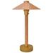 Wide China Hat 16 1/2" High Natural Copper LED Area Light