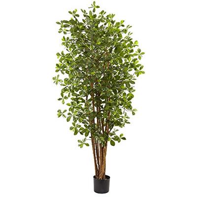 Nearly Natural Olive Silk Tree, 6', Black