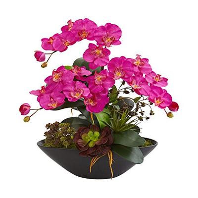 Nearly Natural 1605-DP Phalaenopsis Orchid and Mixed Succulent Garden Artificial Black Vase Silk Arr
