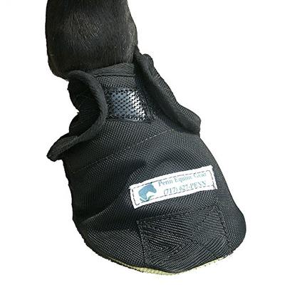 Penn Hoof Sock by Equine Gear XL