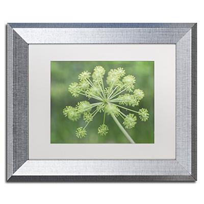 Selective Focus in Green by Kurt Shaffer, White Matte, Silver Frame 11x14-Inch