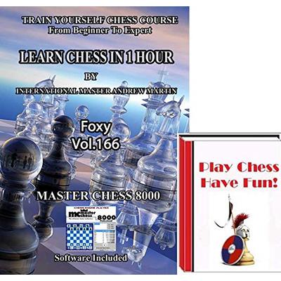 Learn How to Play Chess in 1 Hour Video with Andrew Martin bundled with Play Chess Have Fun! on DVD