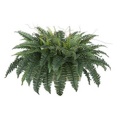 House of Silk Flowers Artificial Fern in White-Washed Wood Ledge