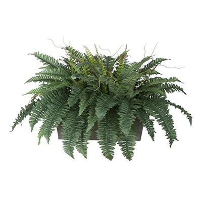 House of Silk Flowers Artificial Fern in Grey-Washed Wood Ledge