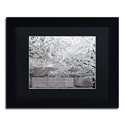 Cherry Blossoms 2014-4 Black Matte Artwork by CATeyes, 11 by 14-Inch, Black Frame