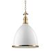 Hudson Valley Lighting Viceroy 17 Inch Large Pendant - 7718-WAGB