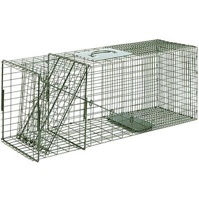 Duke Traps Raccoon Cage Trap