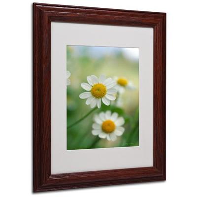 Chamomile by Kathy Yates Canvas Artwork in Wood Frame, 11 by 14-Inch