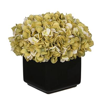 House of Silk Flowers Artificial Hydrangea in Large Black Cube Ceramic (Sage/Cream)